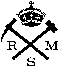 RSM logo